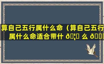 算自己五行属什么命（算自己五行属什么命适合带什 🦄 么 🍀 ）